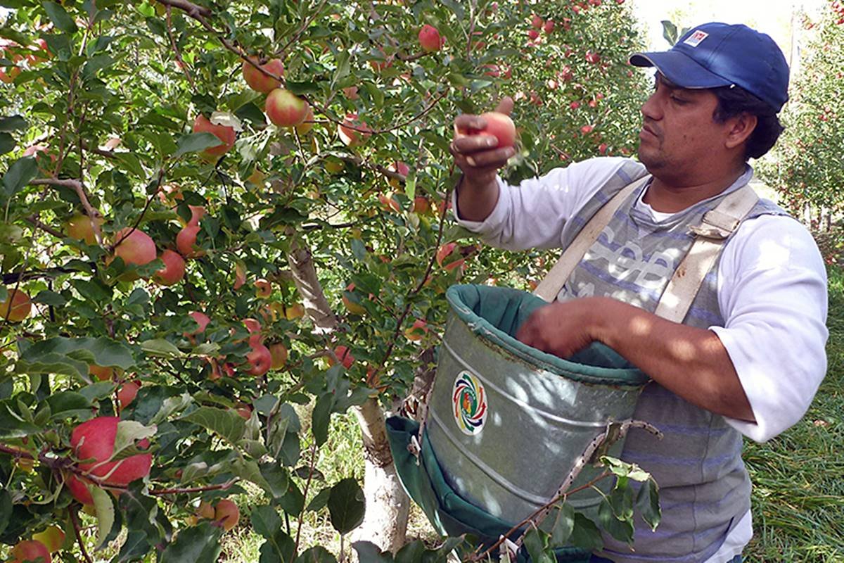 Un total de seis viajes partir&aacute;n desde Concordia hacia la patagonia