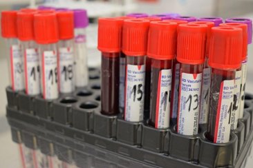 Más de 1.400 entrerrianos donaron sangre en 2024. Más de 1.400 entrerrianos donaron sangre en 2024.