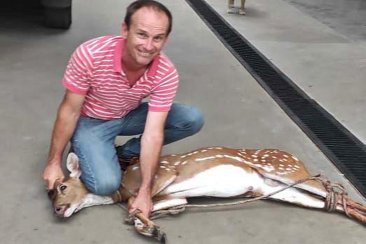 El animal fue liberado en una zona segura. El animal fue liberado en una zona segura.