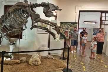 Récord de visitas en el Museo de Antropología y Ciencias Naturales de Concordia. Récord de visitas en el Museo de Antropología y Ciencias Naturales de Concordia.