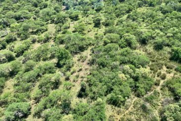 Avanza el proyecto de un nuevo Parque Nacional en Entre Ríos. Avanza el proyecto de un nuevo Parque Nacional en Entre Ríos.