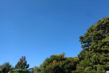 Martes muy otoñal, en el cierre de abril. Martes muy otoñal, en el cierre de abril.
