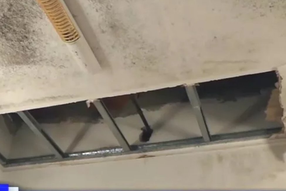 Una escuela de Concordia suspendió las clases por problemas en los sanitarios