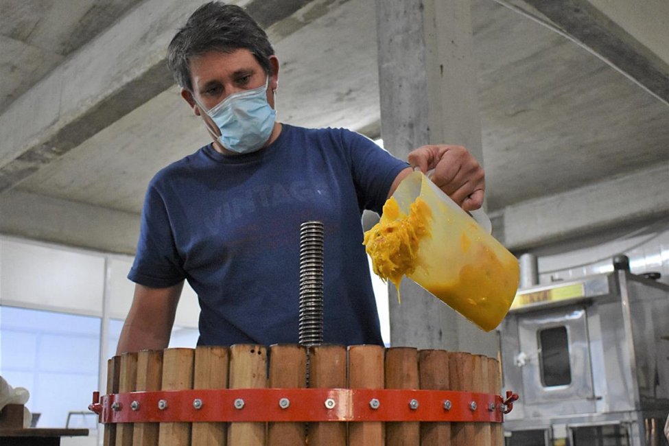 La UNER trabaja en un proyecto para el aprovechamiento del Yatay