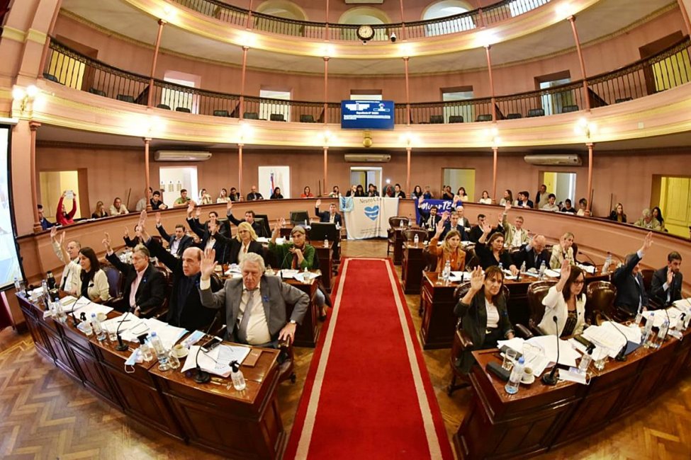 Diputadas y diputados oficialistas se expresaron sobre el caso Goyeneche