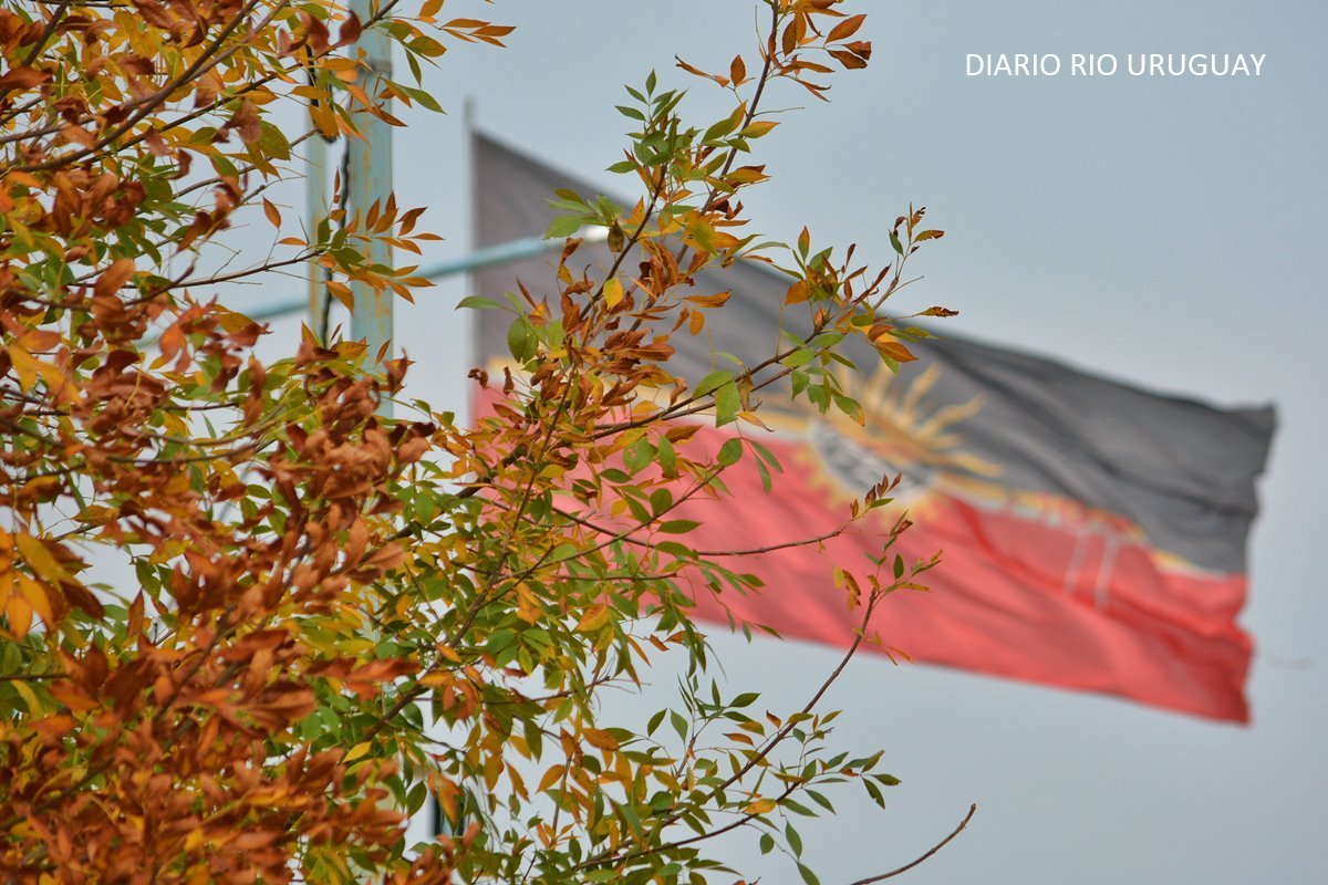 Mi&eacute;rcoles oto&ntilde;al, en Concordia.