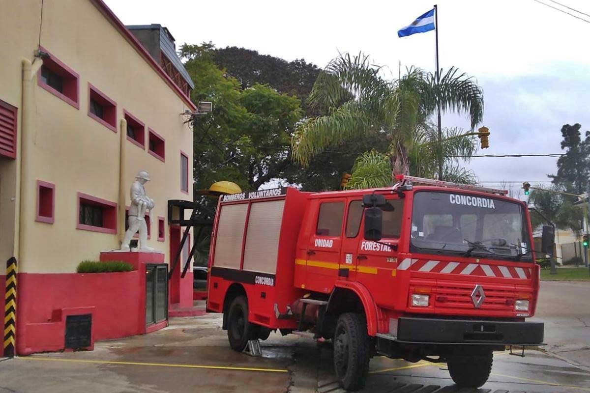 Debido al incendio fallecieron dos equinos.