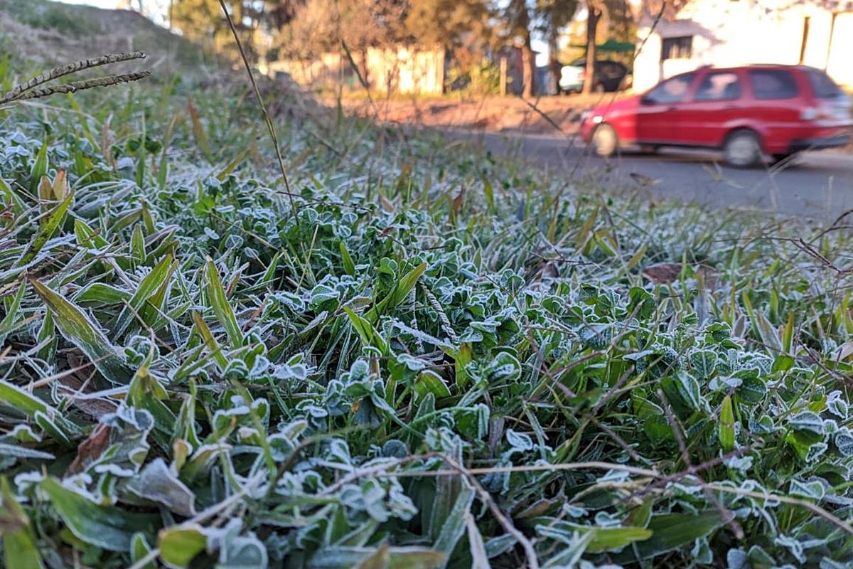 La regi&oacute;n tuvo una de su primera helada del invierno 2024