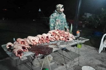 La ONG busca frenar la caza de especies autóctonas en suelo entrerriano. La ONG busca frenar la caza de especies autóctonas en suelo entrerriano.