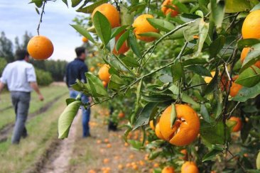 La inscripción cierra el próximo 27 de diciembre. La inscripción cierra el próximo 27 de diciembre.