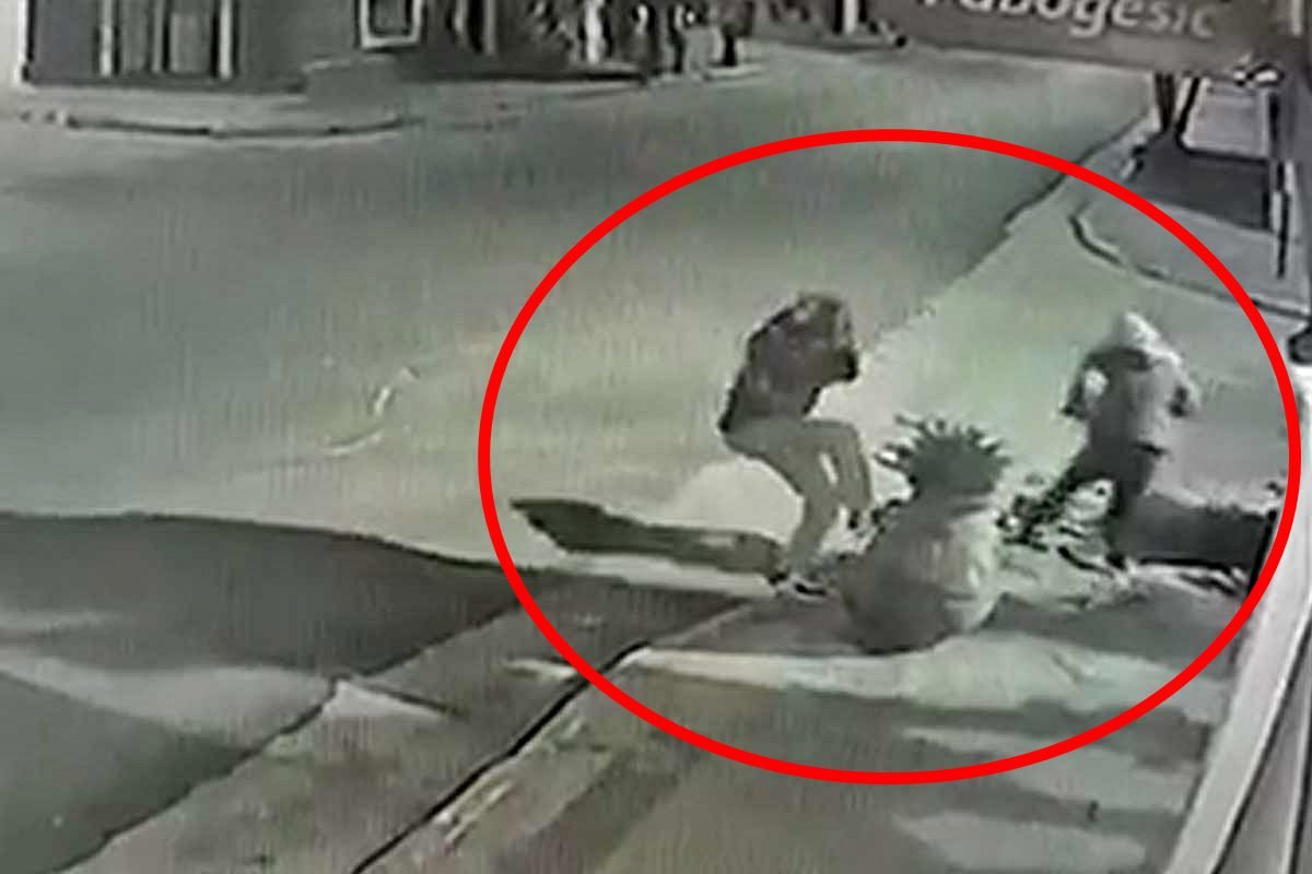 Una secuencia tan violenta como inexplicable.