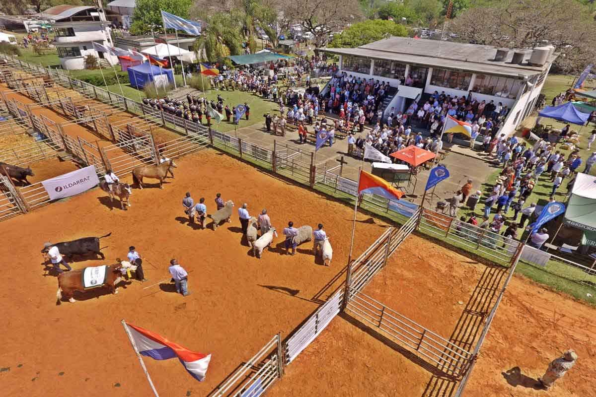 La muestra ya no se realizar&aacute; en Camb&aacute; Paso.