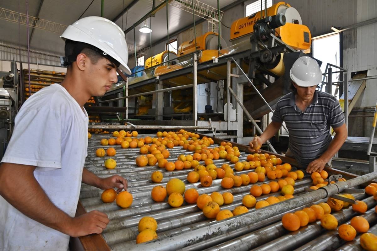Frigerio celebr&oacute; los avances.