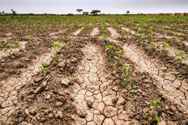 Calor y seca, no se prevén lluvias para Concordia y la región. Calor y seca, no se prevén lluvias para Concordia y la región.