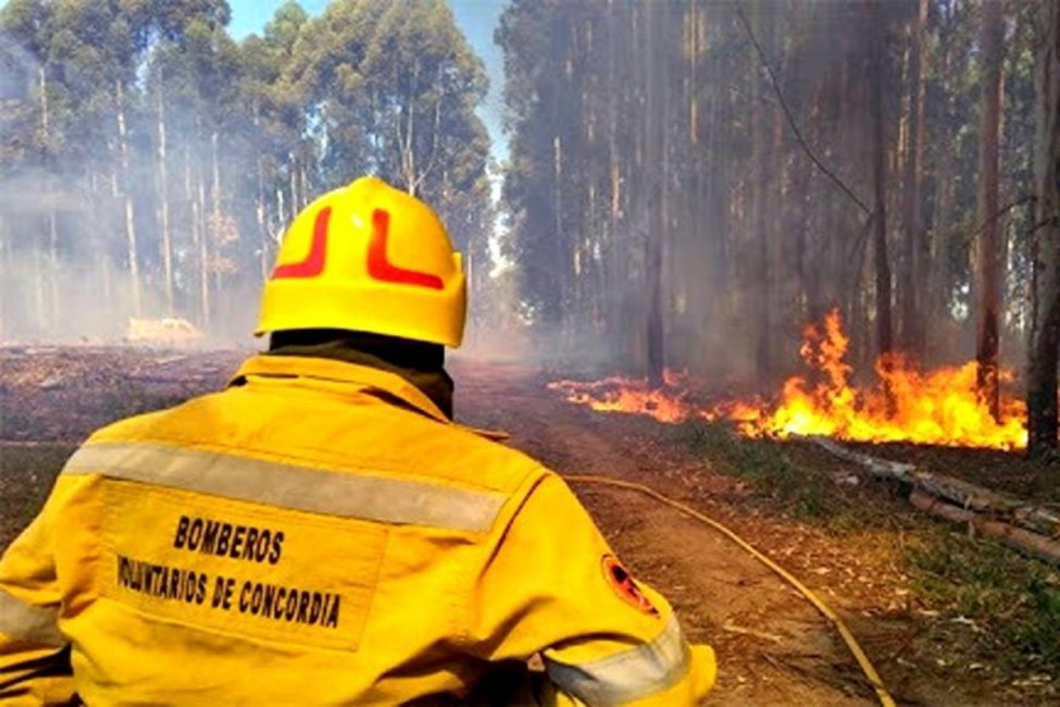 Desde Bomberos Voluntarios realizaron recomendaciones preventivas ante la ola de calor