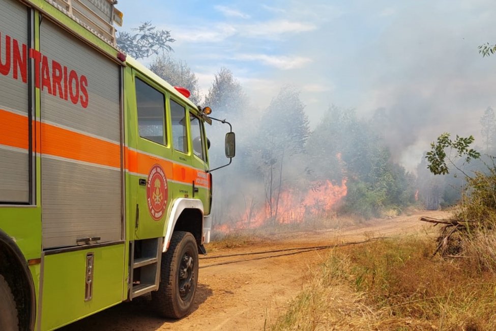 Bomberos combatieron un incendio forestal en la región por más de cuatro horas