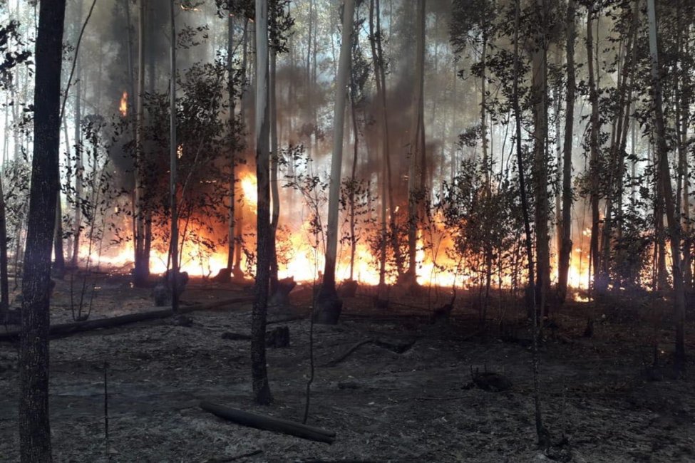 Los incendios en la región no cesan y el trabajo de los bomberos es constante