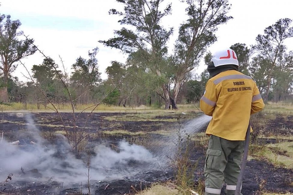 Negligencia con una parrilla originó un incendio forestal que afectó a una superficie de tres hectáreas