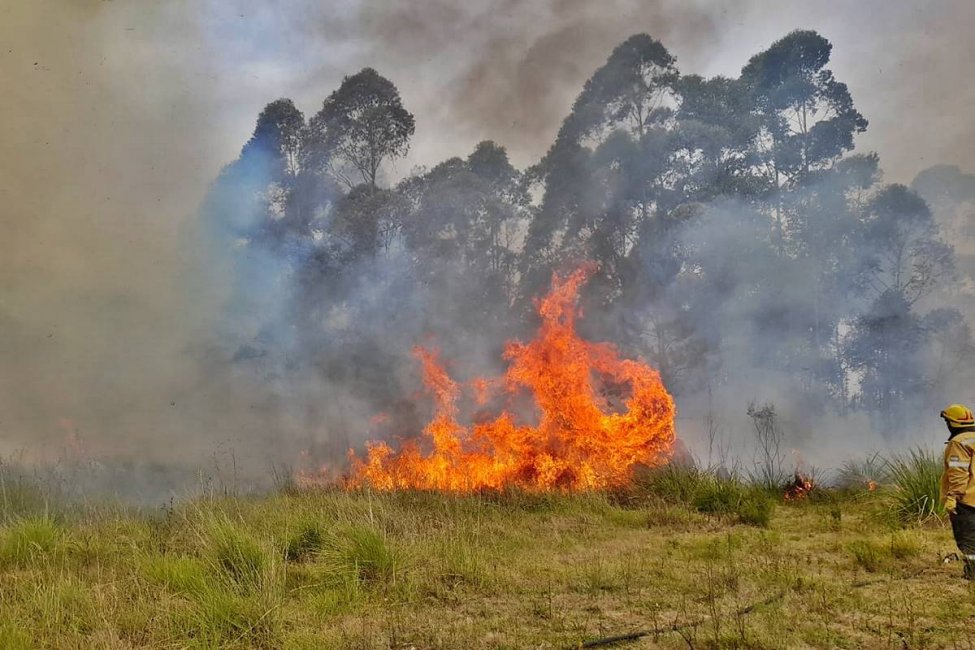 Bomberos debieron combatir seis horas contra un incendio que amenazaba viviendas