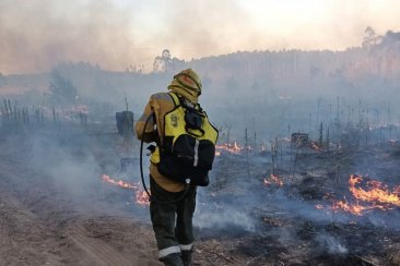 Dos incendios de gran magnitud, durante la tarde asfixiante de este martes. Dos incendios de gran magnitud, durante la tarde asfixiante de este martes.