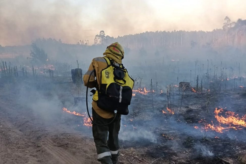 Bomberos Voluntarios de Concordia debieron desdoblarse para hacer frente a incendios forestales de magnitud