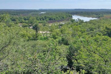 El gobierno decidió extender la emergencia ambiental en Entre Ríos. El gobierno decidió extender la emergencia ambiental en Entre Ríos.