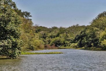 Se trata de un nuevo parque provincial de más de 2600 hectáreas. Se trata de un nuevo parque provincial de más de 2600 hectáreas.