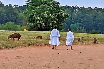 Rodríguez aclaró que no se piensa en una reserva similar al Parque San Carlos. Rodríguez aclaró que no se piensa en una reserva similar al Parque San Carlos.