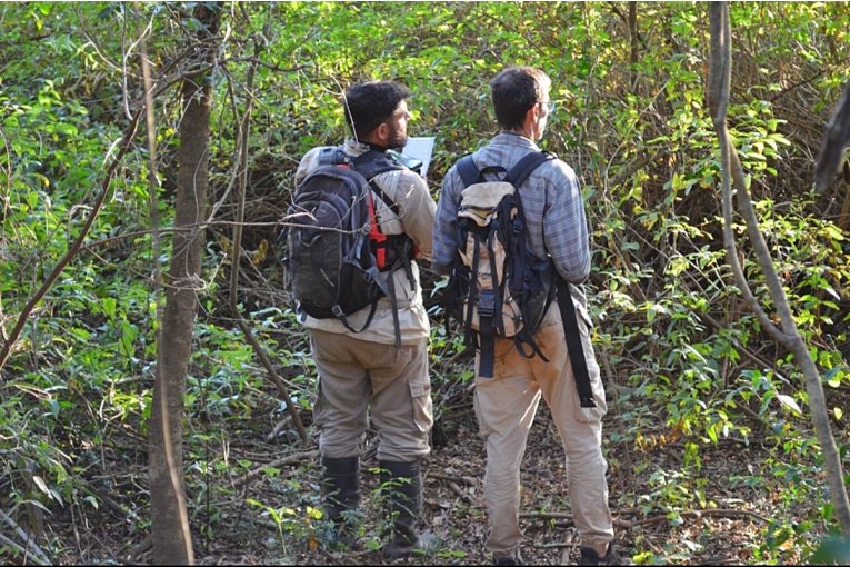 Comenz&oacute; el relevamiento de aves y flora en la Reserva Isla del Puerto de Concepci&oacute;n del Uruguay