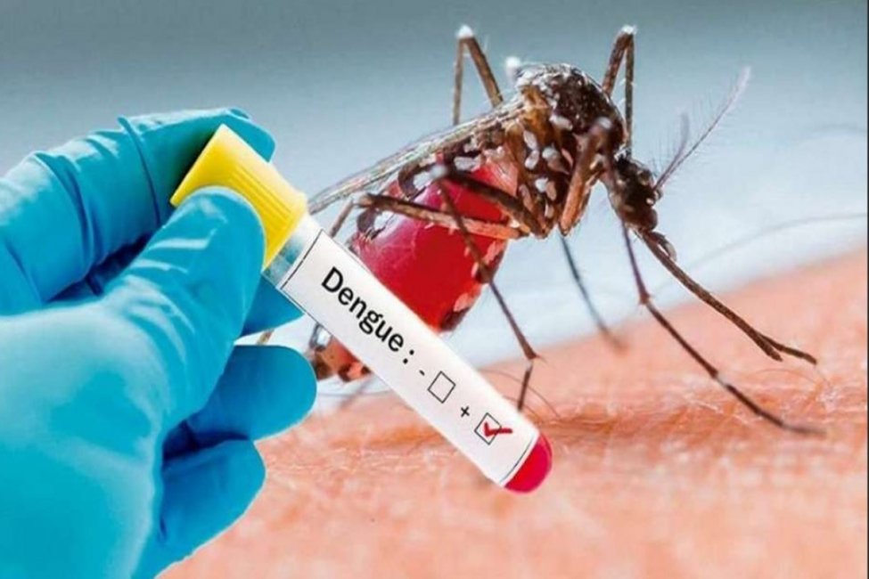 El departamento Concordia reportó 182 nuevos casos de dengue en la última semana