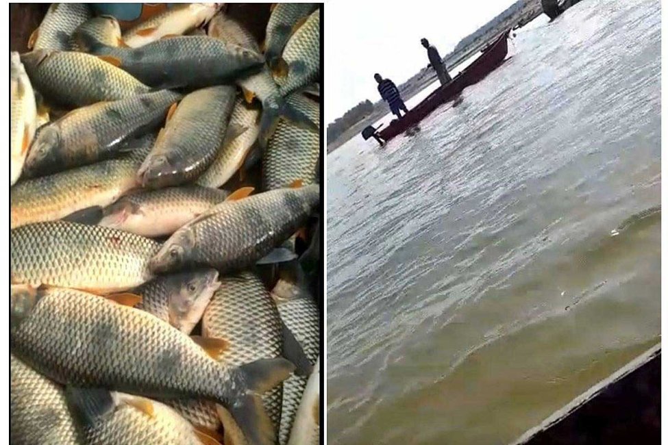 Polémica y reproches por la difusión de videos que muestran la depredación en el río Uruguay
