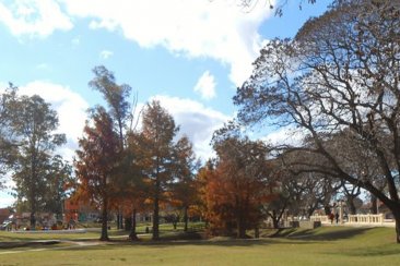 Abril se empieza a despedir a puro otoño. Abril se empieza a despedir a puro otoño.