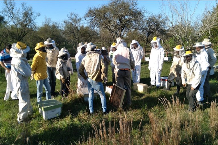 Entre R&iacute;os adhiri&oacute; al programa nacional de Fortalecimiento Productivo para la Cadena Ap&iacute;cola
