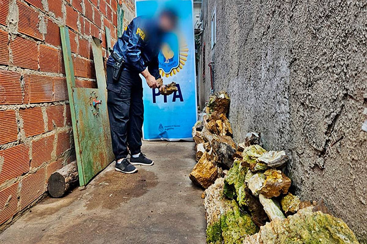 La muse&oacute;loga se refiri&oacute; al hallazgo de este mi&eacute;rcoles.