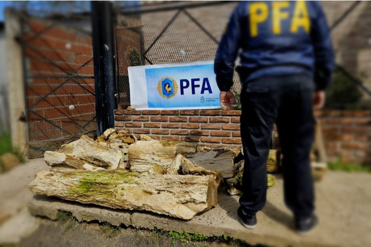 La Polic&iacute;a Federal Concordia incaut&oacute; troncos petrificados de m&aacute;s de 80.000 a&ntilde;os que eran vendidos a trav&eacute;s de internet