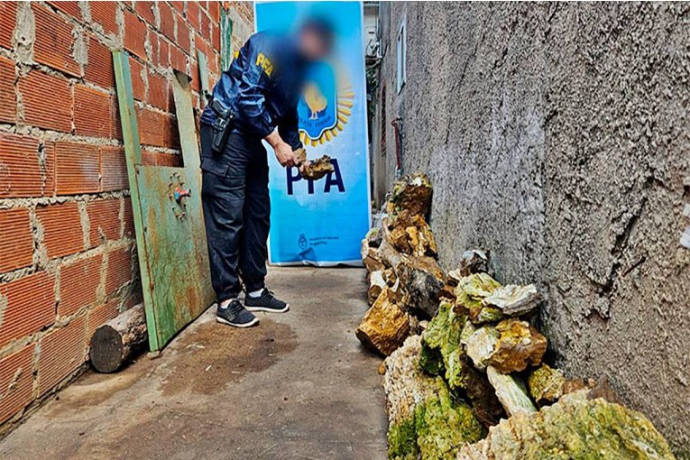 Muse&oacute;loga concordiense habl&oacute; del valor de los trondos petr&iacute;ficados y fundament&oacute; porque fueron incautados