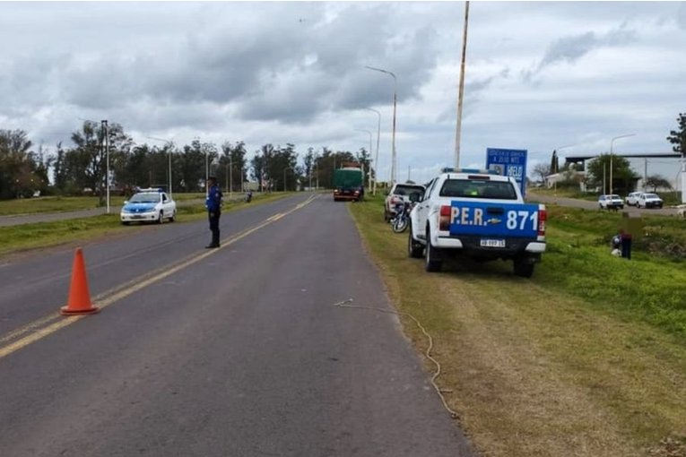 Un cami&oacute;n embisti&oacute; a un equino que se cruz&oacute; en plena ruta