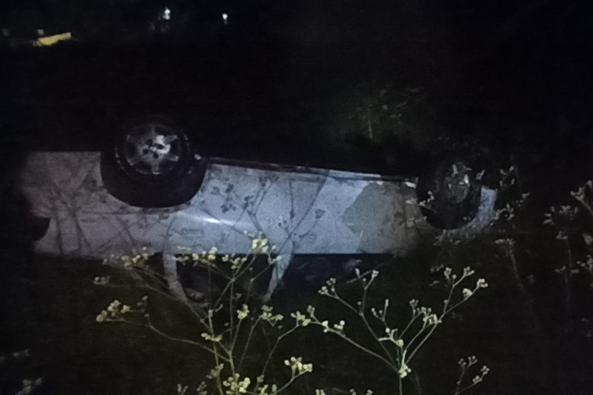 Los cuatro ocupantes del veh&iacute;culo resultaron heridos por el accidente.