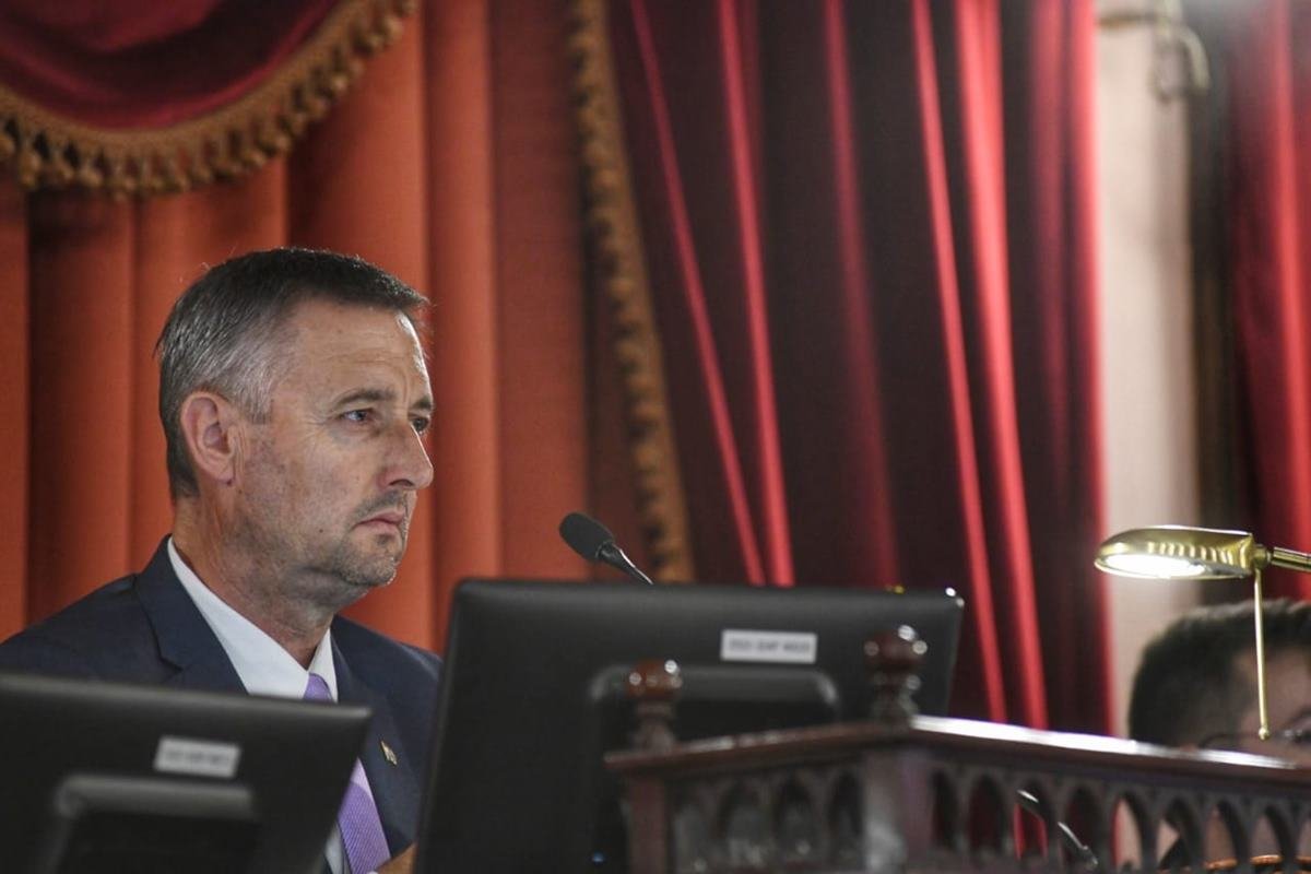 Gustavo Hein, presidente de la C&aacute;mra de Diputados.