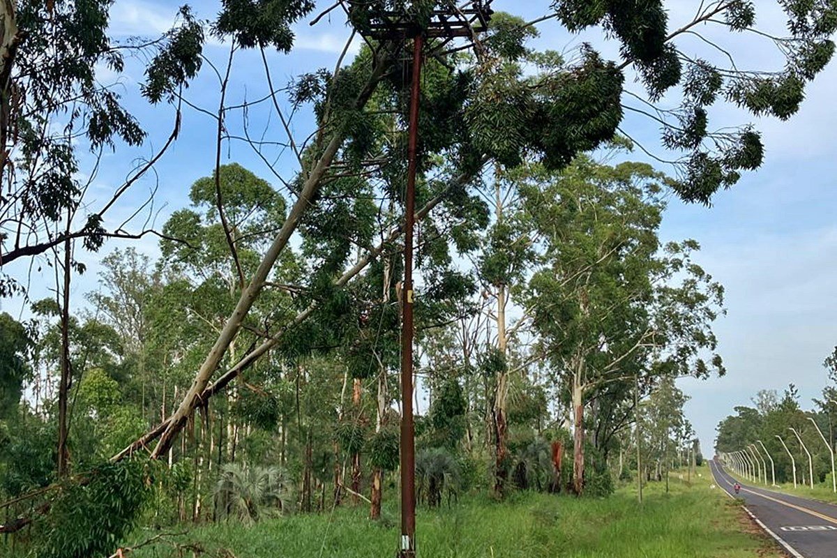 El reporte actualizado de la Cooperativa El&eacute;ctrica.