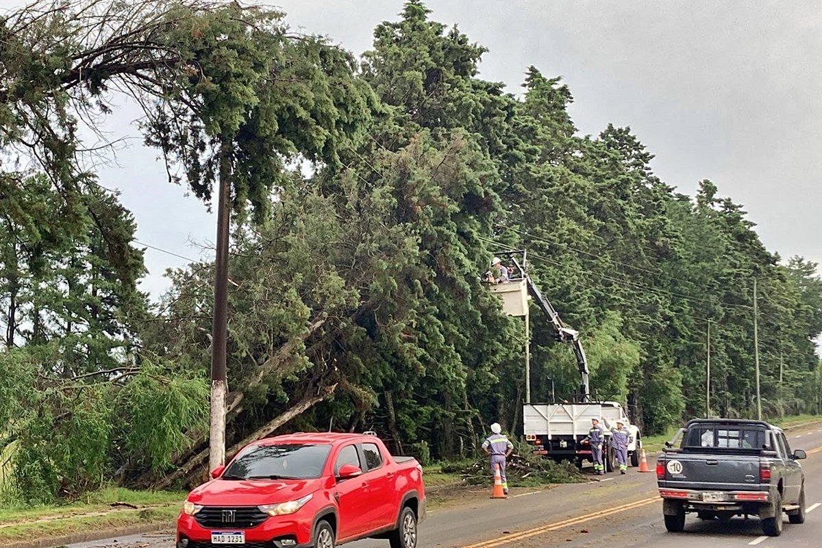 Personal de la Cooperativa El&eacute;ctrica trabajando en la ma&ntilde;ana de este viernes