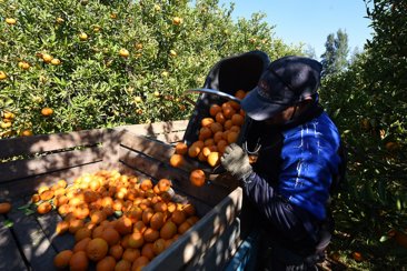 Se trata de Fondo Rotatorio para financiar a productores. Se trata de Fondo Rotatorio para financiar a productores.