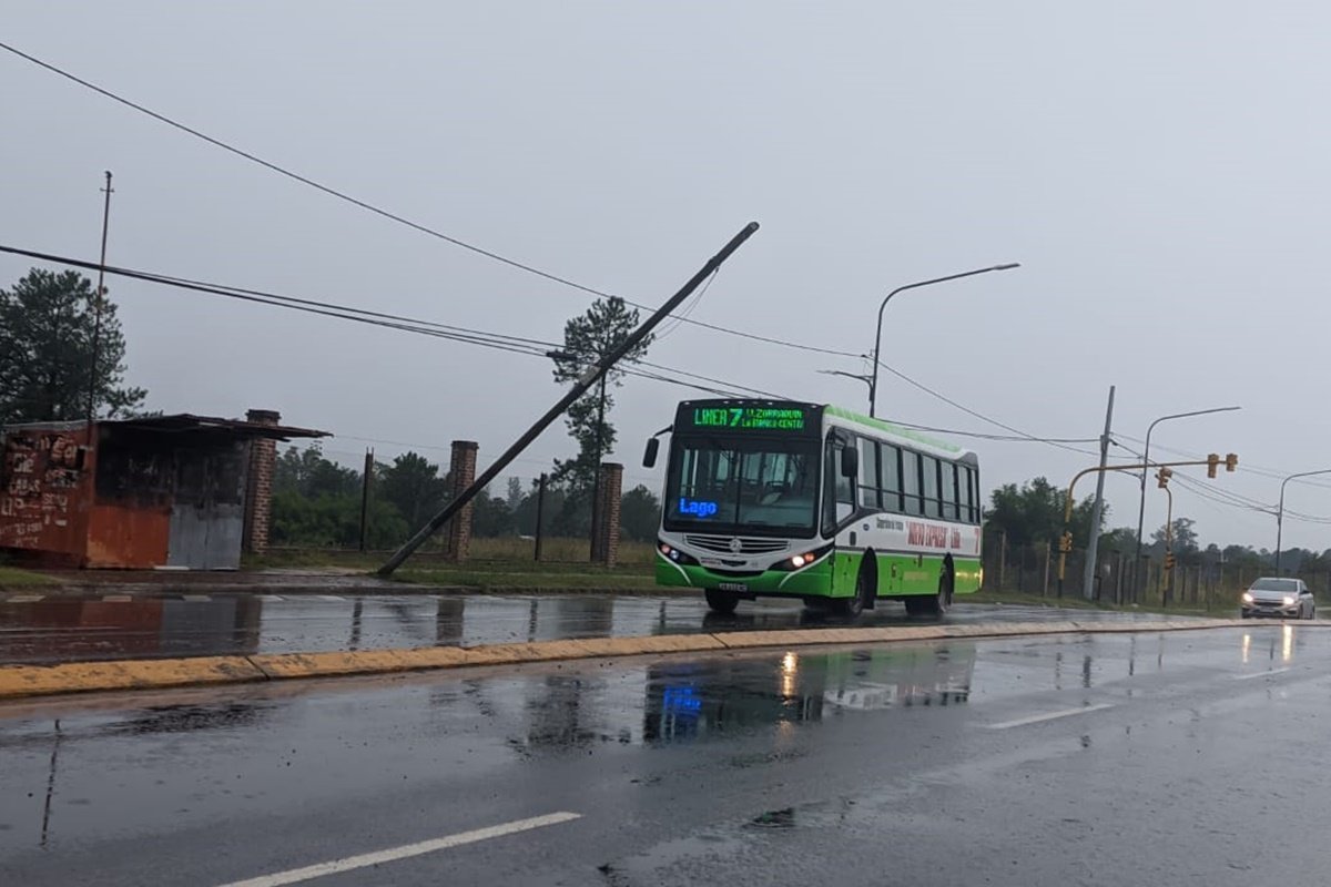 Diferentes cuadrillas trabajan en distintos puntos de la ciudad.