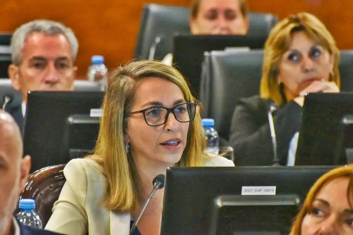 Stratta y sus valoraciones cr&iacute;ticas al discurso de Frigerio.