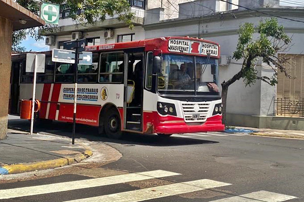 El nuevo boleto impactar&iacute;a la semana que viene.