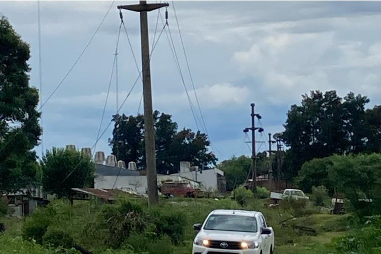 La ca&iacute;da de &aacute;rboles por el temporal provoc&oacute; el corte del suministro el&eacute;ctrico en distintas zonas