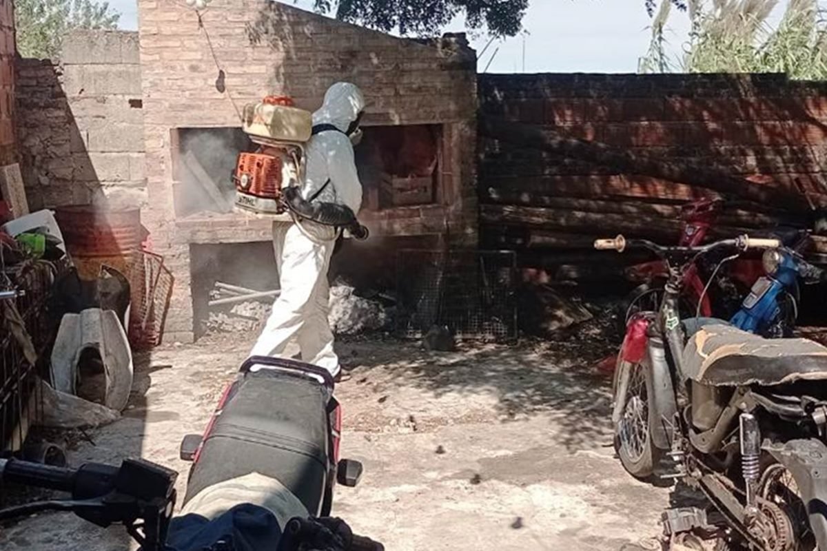 Se ingresa a los domicilios para realizar fumigaciones