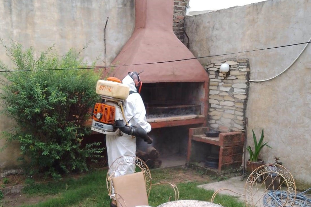 Las fumigaciones se efectuar&aacute;n dependiendo de las condiciones clim&aacute;ticas.