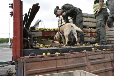 Uno de los juicios ya comenzó y es a un camionero chajariense. Uno de los juicios ya comenzó y es a un camionero chajariense.
