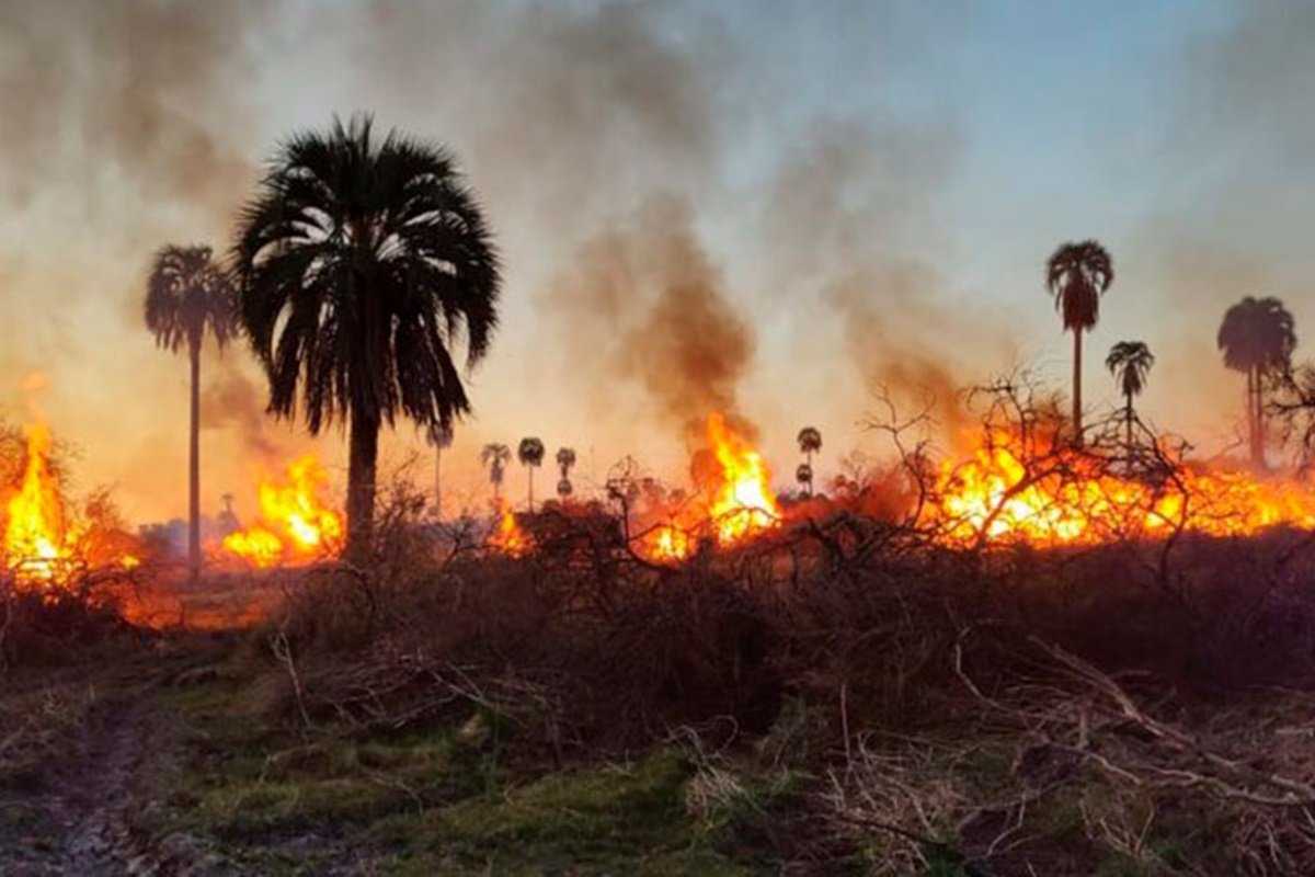 La medida regirá desde diciembre.